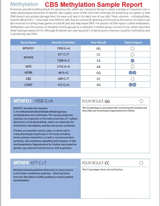 Image of Methylation